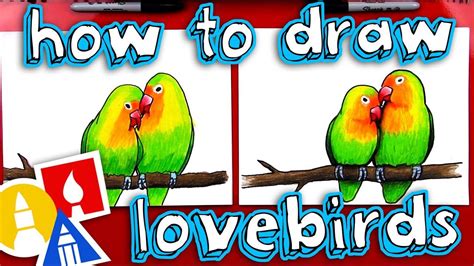 How To Draw Lovebirds | Art for kids hub, Bird art, Art for kids