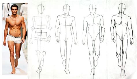 YOUTUBE Zoe Hong How to draw men! Finally! Here are steps 1 and 2 of my 4-step croquis building ...