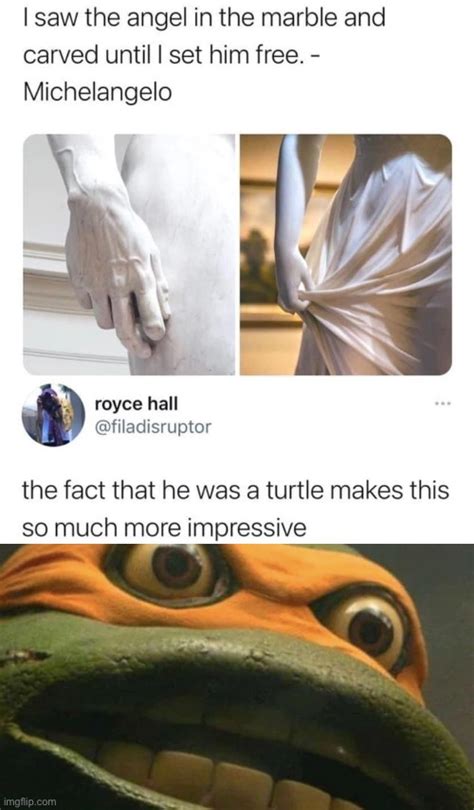 teenage mutant ninja turtles Memes & GIFs - Imgflip