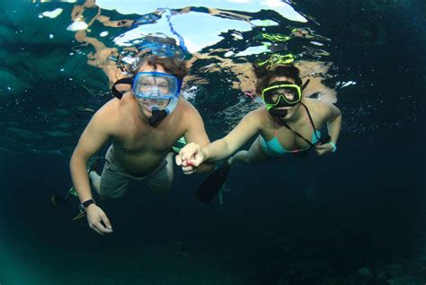 Snorkeling In Nassau Bahamas - Island Routes