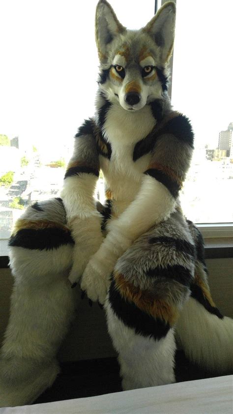 Pin on Fursuiter