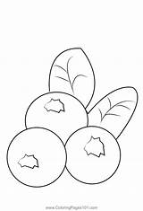 Blueberris 3 Coloring Page For Kids  Free Blueberry Printable sketch template