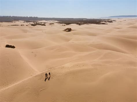 Pismo Beach Sand Dunes: The Essential Guide to Visiting Oceano Dunes