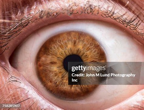 Close Up Of Brown Eye High-Res Stock Photo - Getty Images