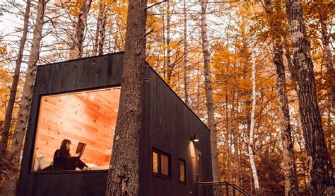 These Cute Cabins With Floor-To-Ceiling Windows Are Coming To Starved ...