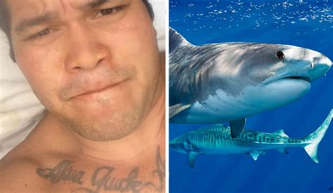 13-Foot Tiger Shark Attacks Diver; Victim Uploads Horrific Video to Instagram Right After | The ...