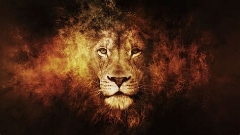 lion-fire-art | Lion artwork, Lion hd wallpaper, Lion pictures