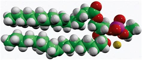 16:0-18:1 Phosphatidylethanol 1-palmitoyl-2-oleoyl-sn-glycero-3-phosphoethanol (sodium salt ...