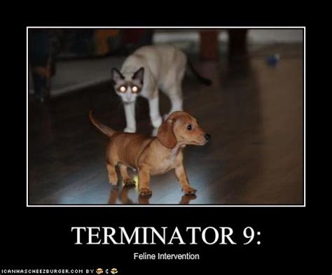 terminator cat – jellybeansofdoom.com