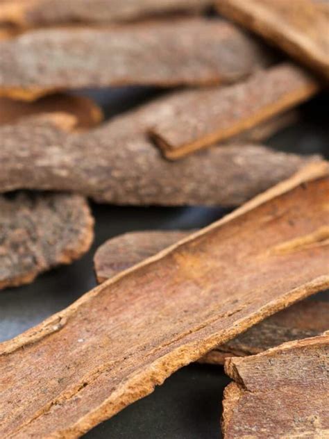 Cassia Bark: The Cinnamon-Like Spice You Need To Try