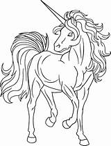 Unicorn Coloring Pages  Free Printable Coloring For Kids sketch template