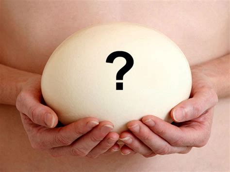 Human eggs: 9 fascinating facts - CBS News