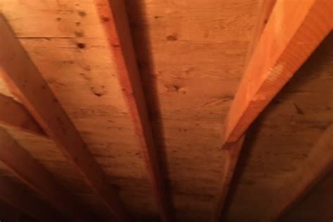 Attic Mold Inspection & Removal- MoldCare - Mold Removal & Prevention