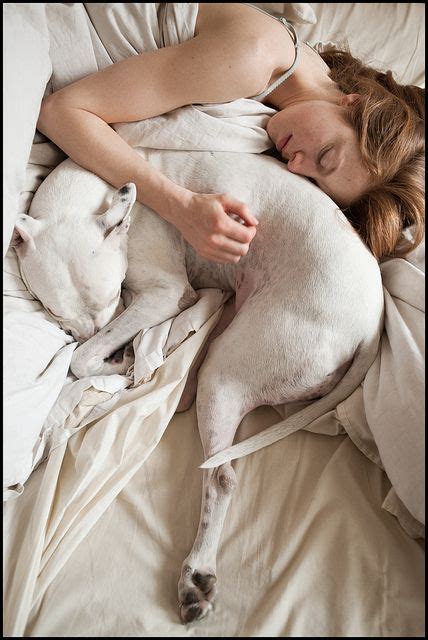 Too sad this is only the expectation of sleeping with a dog, they are actually big bed hogs! I ...