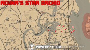 Red Dead Redemption 2 Plants Locations