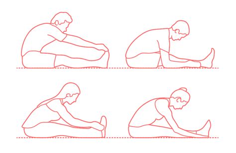 Seated Hamstring Stretch Dimensions & Drawings | Dimensions.Guide