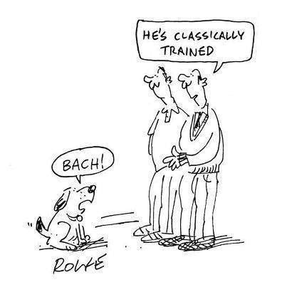 sounds like my dog. | Music jokes, Music humor, Musician humor