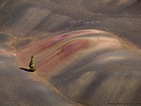 Cinder Cone, Lassen Volcanic National Park - HawkeBackpacking.com