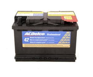 ACDelco Battery 48PG