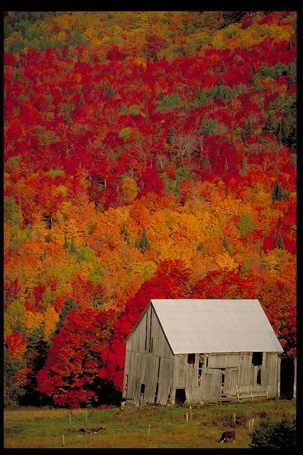 Old Barn with beautiful Fall colors - FaveThing.com