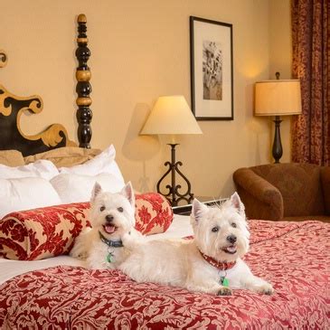 Pet Friendly Hotels in Las Cruces | Places to Stay With Pets | Hotels That Allow Pets in Las ...