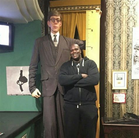 Here's Shaq (7' 1'') being dwarfed by Robert Wadlow, the worlds's tallest man, who was nearly 9 ...