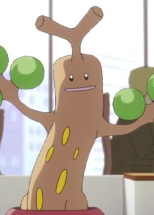 Sudowoodo | Anime-Planet