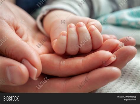 Family Baby Hands. Image & Photo (Free Trial) | Bigstock