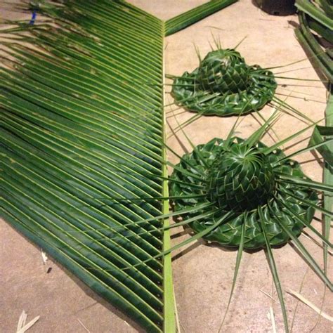 1000+ images about Weaving art Palm frond Pandanus leaf Ti leaf on ...