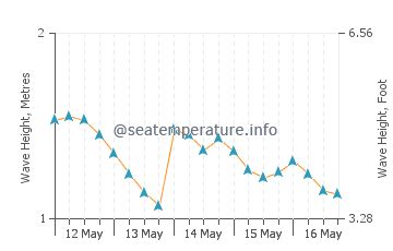 Tweed Heads ocean water temperature today | NSW, Australia