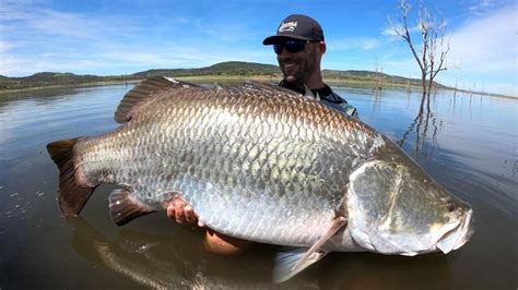 The best barramundi caught at Lake Callide Retreat. | The Courier Mail