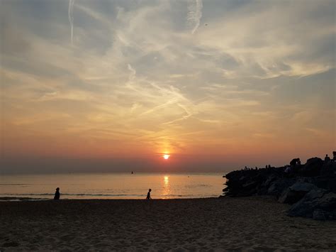 Ostend Beach in Ostend City Centre | Expedia.co.uk