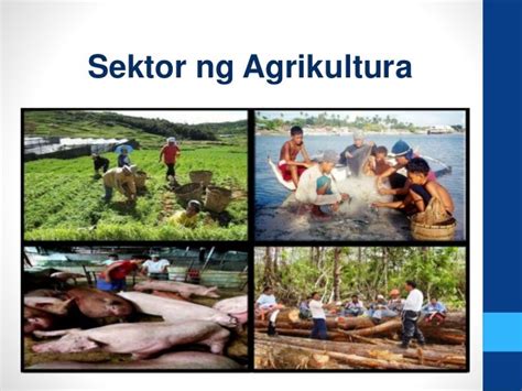 Iba't ibang sektor ng agrikultura