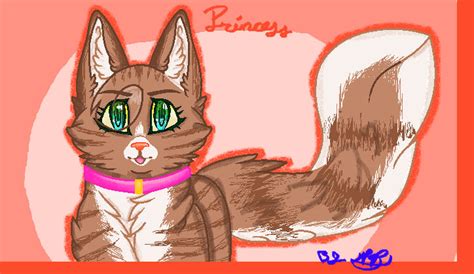 Warrior Cats Princess by mapa1711 on DeviantArt