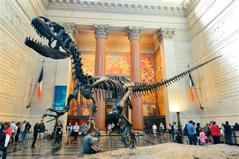 American Museum of Natural History - DAYBREAKER