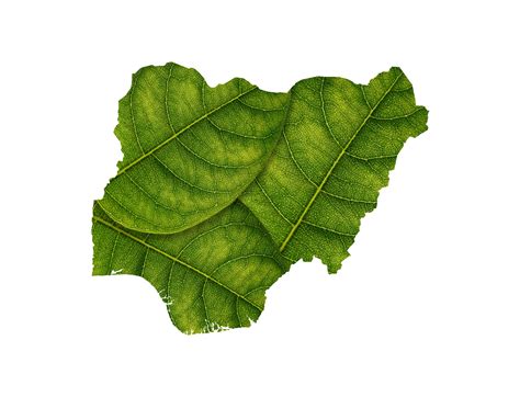Nigeria map made of green leaves ecology concept 38598633 PNG