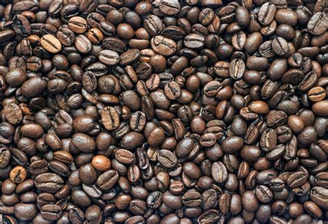 FREE IMAGE: Coffee Beans | Libreshot Public Domain Photos