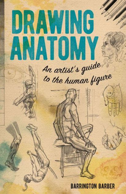 Drawing Anatomy: An Artist's Guide to the Human Figure by Barrington ...