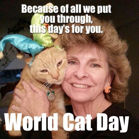 World Cat Day Memes | World cat day, Natural pet, Holistic pet care