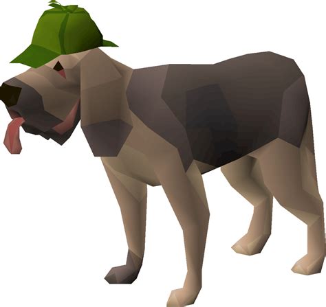 File:Bloodhound (follower).png - OSRS Wiki