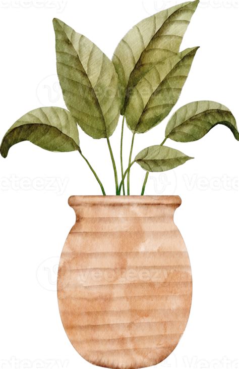 watercolor house plant clip art 10988070 PNG