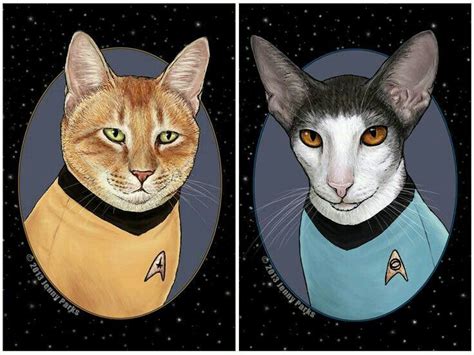 Cat star trek | Cats, Cat artwork, Cat art