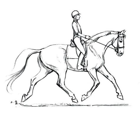 Sandy Rabinowitz, Courtesy, When Two Spines Align: Dressage Dynamics by Beth Baumert | Horse ...