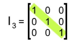 What is an identity matrix? | StudyPug