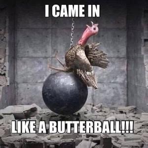 The Best Thanksgiving Memes That Will Make Your Turkey Day So Much Better | Funny thanksgiving ...