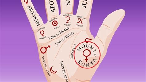 Know what the Mount of Venus in your palm says about your life | Blog