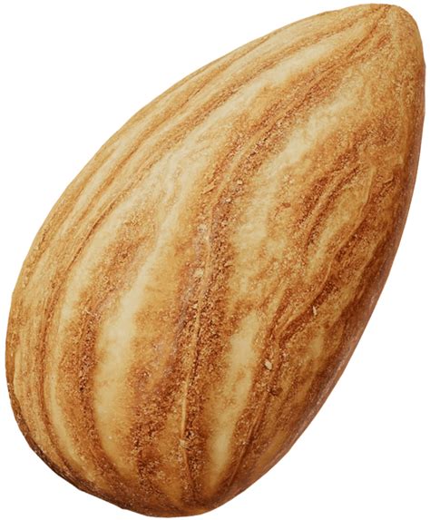 Natural Whole Almonds Wholesale - Treehouse California Almonds