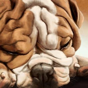 Sleeping English Bulldog Print on Canvas - Etsy