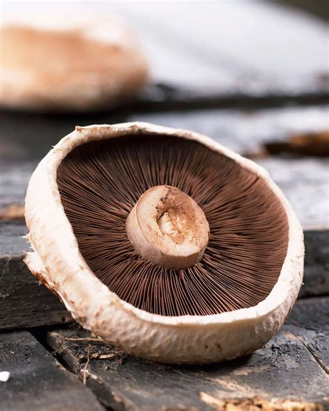 15 Great Portobello Mushrooms Wiki – The Best Ideas for Recipe Collections