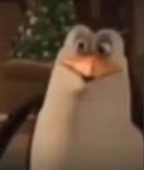 Create meme "penguin , rico , the Madagascar penguins" - Pictures - Meme-arsenal.com